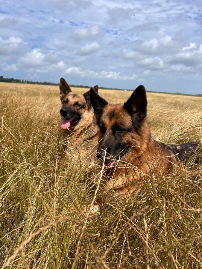 Wandelen In Zeeland Bed and Breakfast Burgh-Haamstede Buitenkant foto